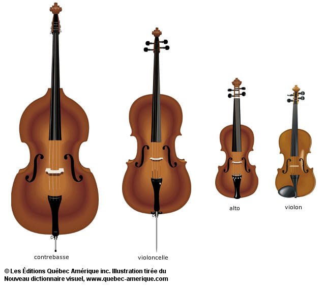 Tous les types de violon